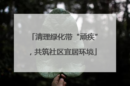 清理绿化带“顽疾”，共筑社区宜居环境