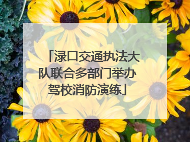 渌口交通执法大队联合多部门举办驾校消防演练