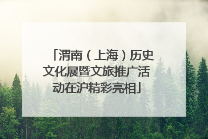 渭南（上海）历史文化展暨文旅推广活动在沪精彩亮相