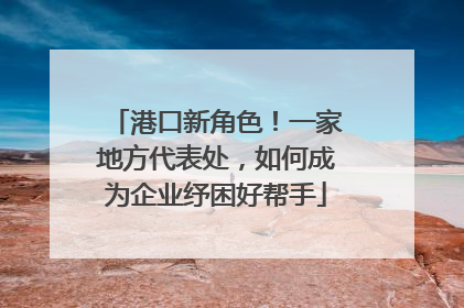 港口新角色！一家地方代表处，如何成为企业纾困好帮手
