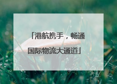 港航携手，畅通国际物流大通道