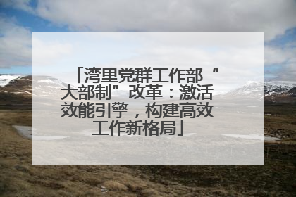 湾里党群工作部“大部制”改革：激活效能引擎，构建高效工作新格局