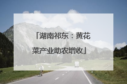湖南祁东：黄花菜产业助农增收