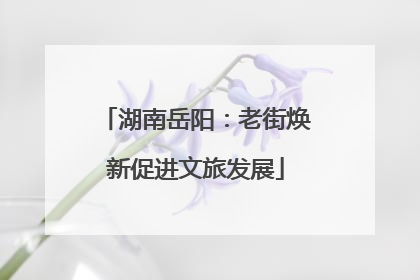 湖南岳阳：老街焕新促进文旅发展