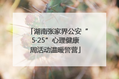 湖南张家界公安“5·25”心理健康周活动温暖警营