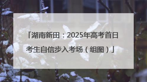 湖南新田：2025年高考首日 考生自信步入考场（组图）