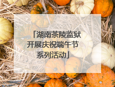 湖南茶陵监狱开展庆祝端午节系列活动