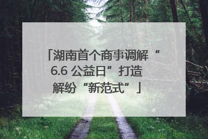 湖南首个商事调解“6.6 公益日”打造解纷“新范式”