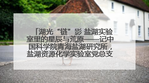 湖光“链”影 盐湖实验室里的星辰与荒原——记中国科学院青海盐湖研究所，盐湖资源化学实验室党总支书记、副主任刘忠