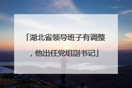 湖北省领导班子有调整，他出任党组副书记