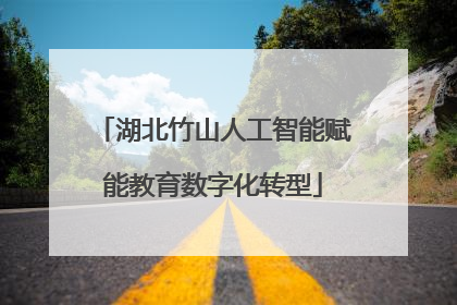 湖北竹山人工智能赋能教育数字化转型