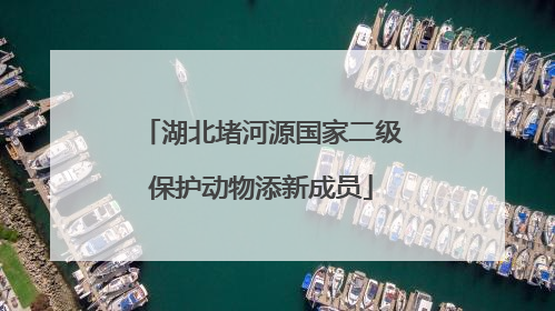 湖北堵河源国家二级保护动物添新成员