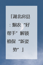 湖北房县：烟农“好帮手”解锁植保“新姿势”
