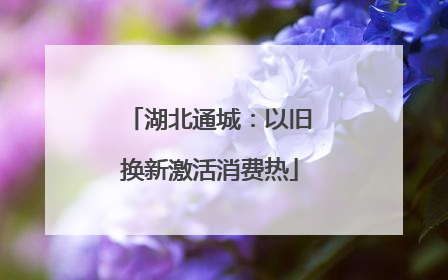 湖北通城：以旧换新激活消费热