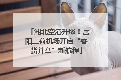 湘北空港升级！岳阳三荷机场开启“客货并举”新航程