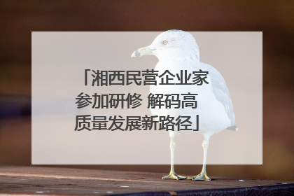 湘西民营企业家参加研修 解码高质量发展新路径