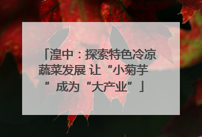 湟中：探索特色冷凉蔬菜发展 让“小菊芋”成为“大产业”