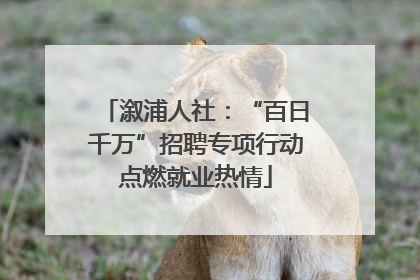 溆浦人社：“百日千万”招聘专项行动点燃就业热情