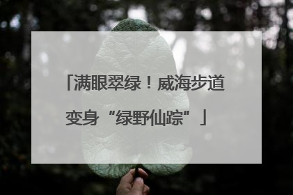 满眼翠绿！威海步道变身“绿野仙踪”