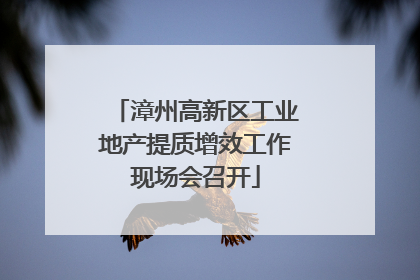 漳州高新区工业地产提质增效工作现场会召开