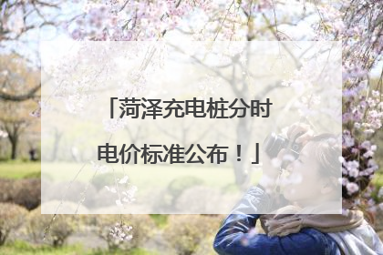 菏泽充电桩分时电价标准公布！