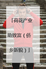 荷花产业助致富（侨乡新貌）