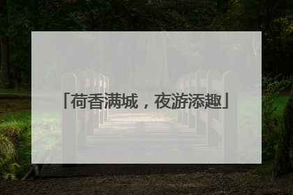 荷香满城，夜游添趣