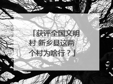 获评全国文明村 新乡县这两个村为啥行？