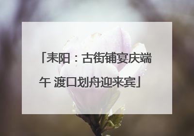 耒阳：古街铺宴庆端午 渡口划舟迎来宾