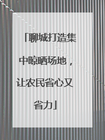 聊城打造集中晾晒场地，让农民省心又省力