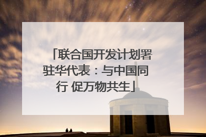 联合国开发计划署驻华代表：与中国同行 促万物共生
