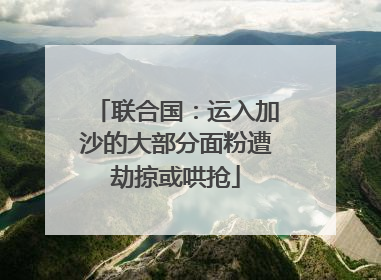 联合国：运入加沙的大部分面粉遭劫掠或哄抢
