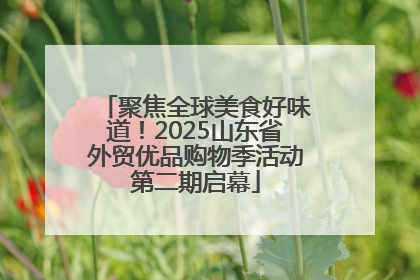聚焦全球美食好味道！2025山东省外贸优品购物季活动第二期启幕