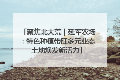 聚焦北大荒｜延军农场：特色种植带旺多元业态 土地焕发新活力