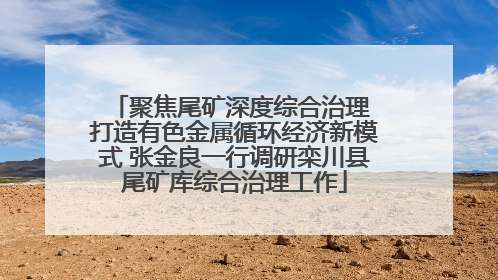 聚焦尾矿深度综合治理 打造有色金属循环经济新模式 张金良一行调研栾川县尾矿库综合治理工作