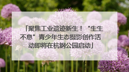 聚焦工业遗迹新生！“生生不息”青少年生态摄影创作活动即将在杭钢公园启动