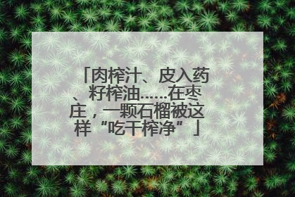 肉榨汁、皮入药、籽榨油……在枣庄，一颗石榴被这样“吃干榨净”