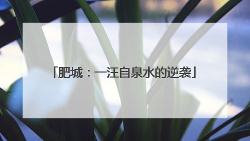 肥城：一汪自泉水的逆袭
