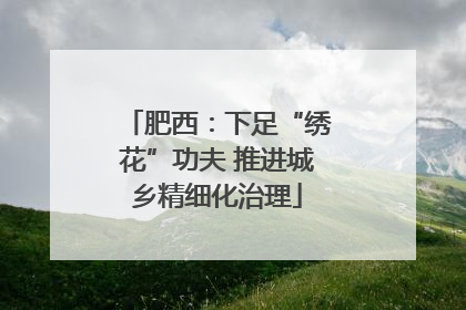 肥西：下足“绣花”功夫 推进城乡精细化治理