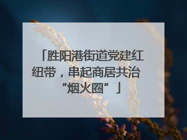 胜阳港街道党建红纽带，串起商居共治 “烟火圈”