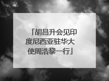 胡昌升会见印度尼西亚驻华大使周浩黎一行