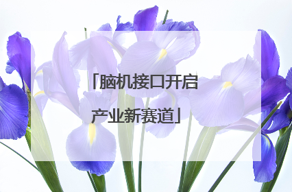 脑机接口开启产业新赛道