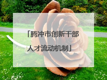 腾冲市创新干部人才流动机制