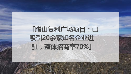 腊山复利广场项目：已吸引20余家知名企业进驻，整体招商率70%
