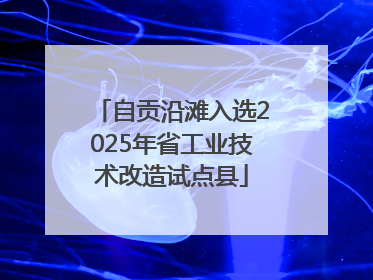 自贡沿滩入选2025年省工业技术改造试点县