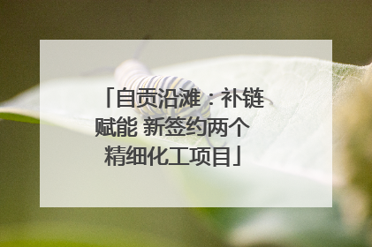 自贡沿滩：补链赋能 新签约两个精细化工项目