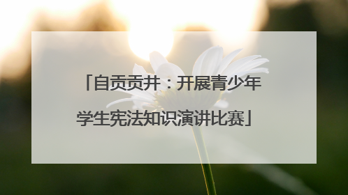 自贡贡井：开展青少年学生宪法知识演讲比赛