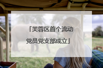 芙蓉区首个流动党员党支部成立