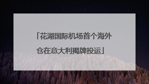 花湖国际机场首个海外仓在意大利揭牌投运