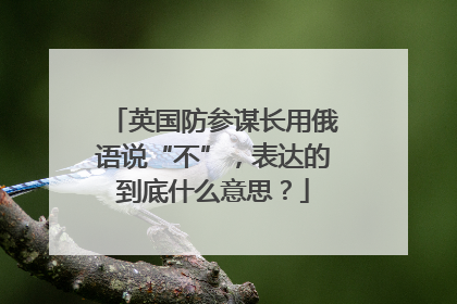 英国防参谋长用俄语说“不”，表达的到底什么意思？